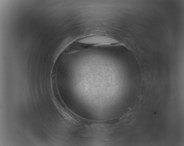 X0000067510242200604211758