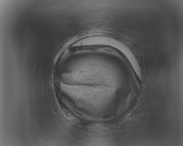 X0000067510244200604211758