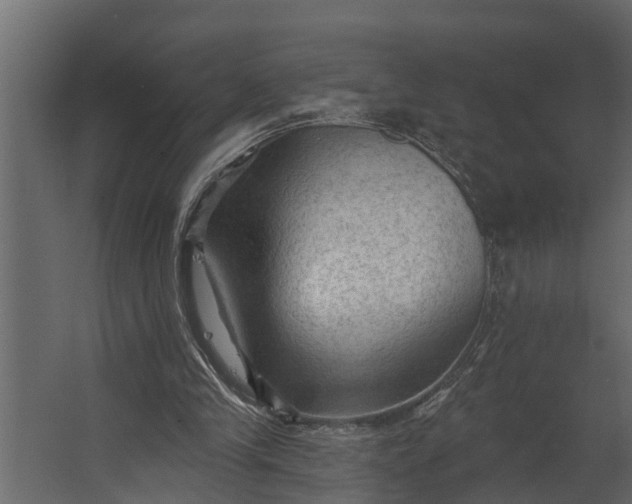 X0000067510245200604211758