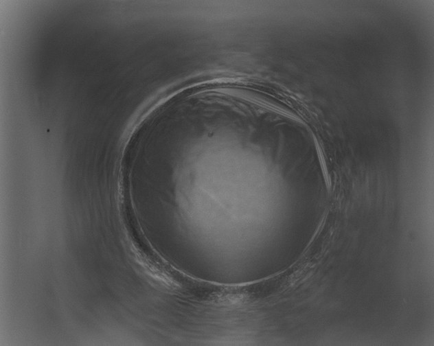 X0000067510247200604211758