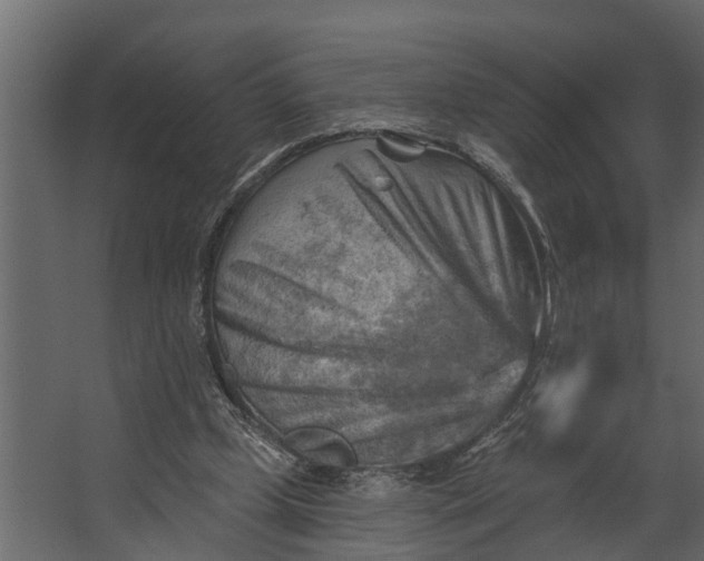 X0000067510249200604211758