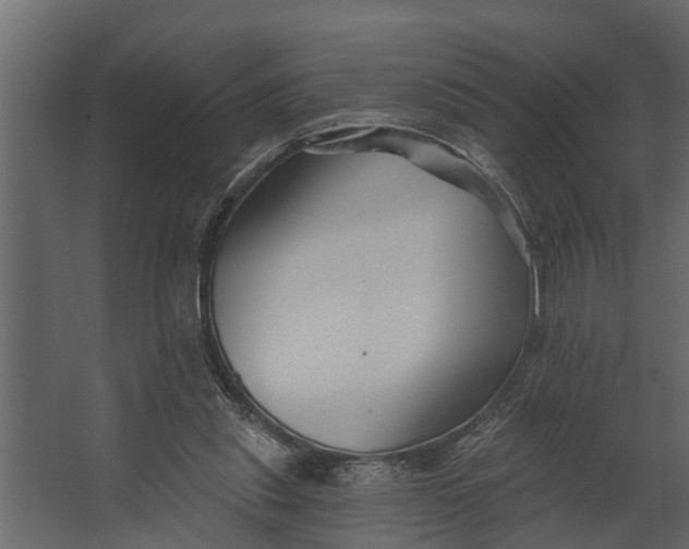 X0000067510253200604211758