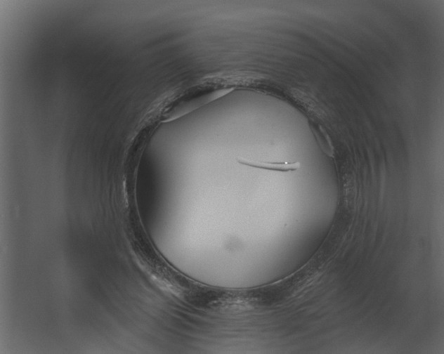 X0000067510254200604211758