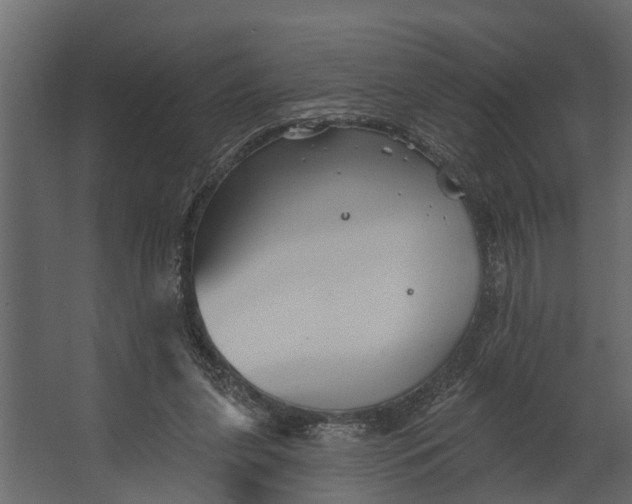 X0000067510255200604211758