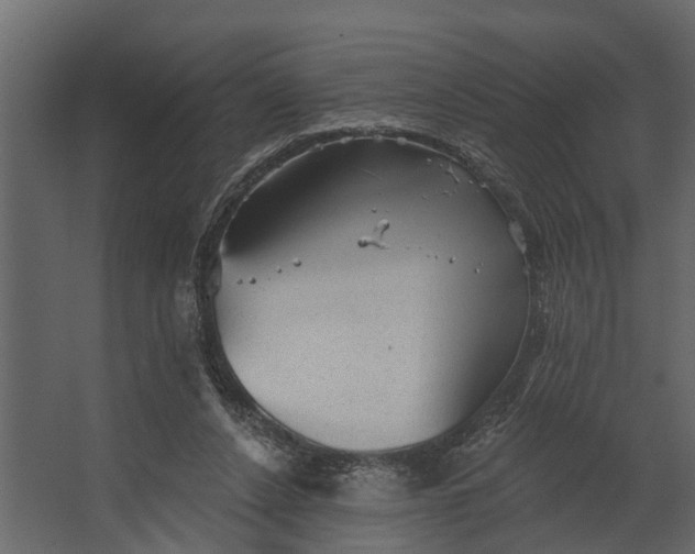 X0000067510256200604211758