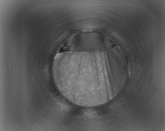 X0000067510258200604211758