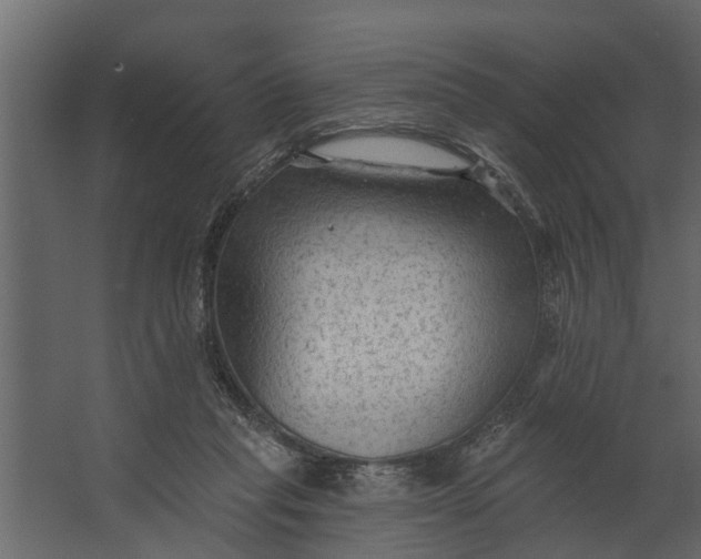 X0000067510261200604211758