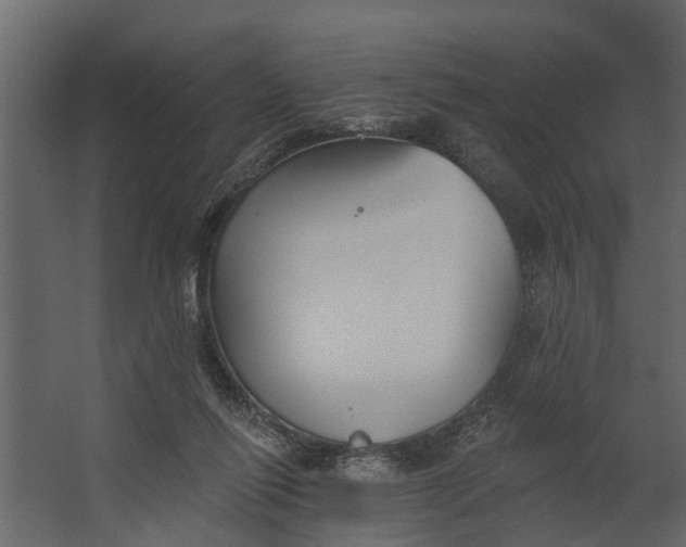 X0000067510262200604211758