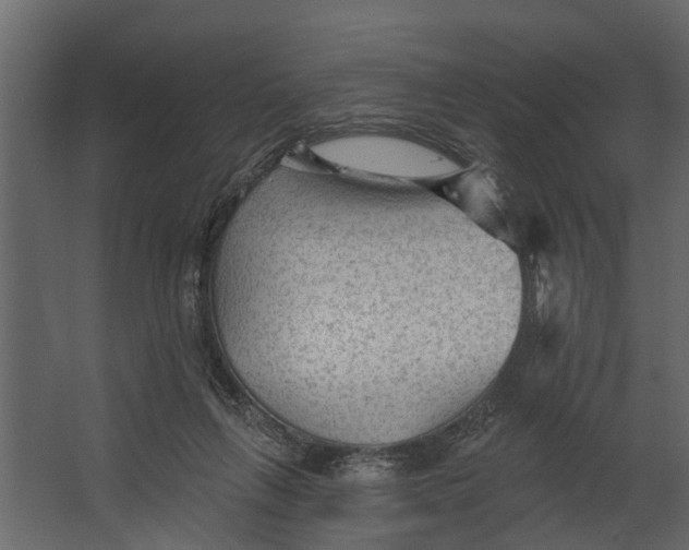 X0000067510263200604211758