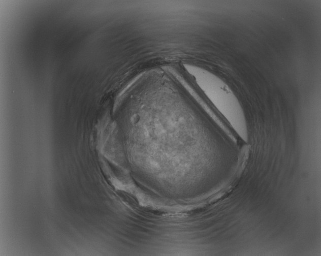 X0000067510266200604211758