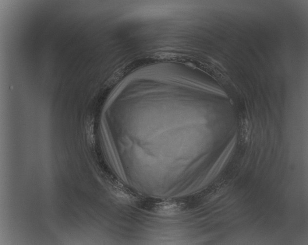 X0000067510267200604211758