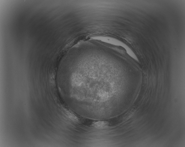 X0000067510269200604211758