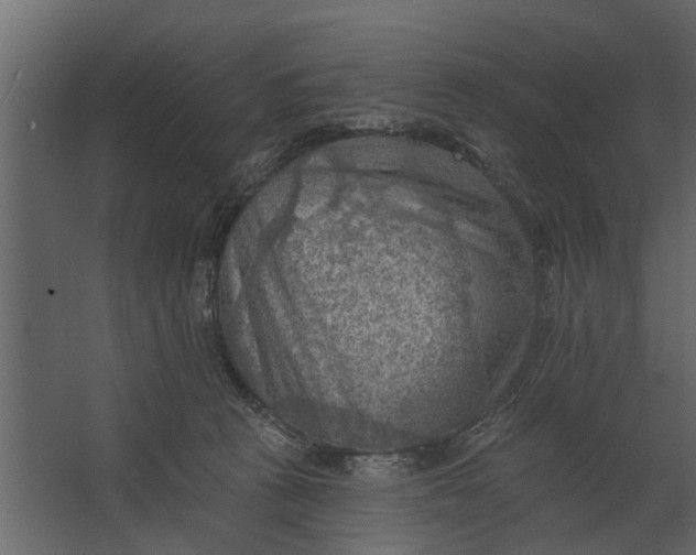 X0000067510273200604211759