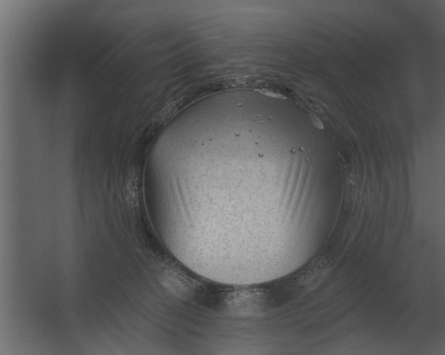 X0000067510274200604211759