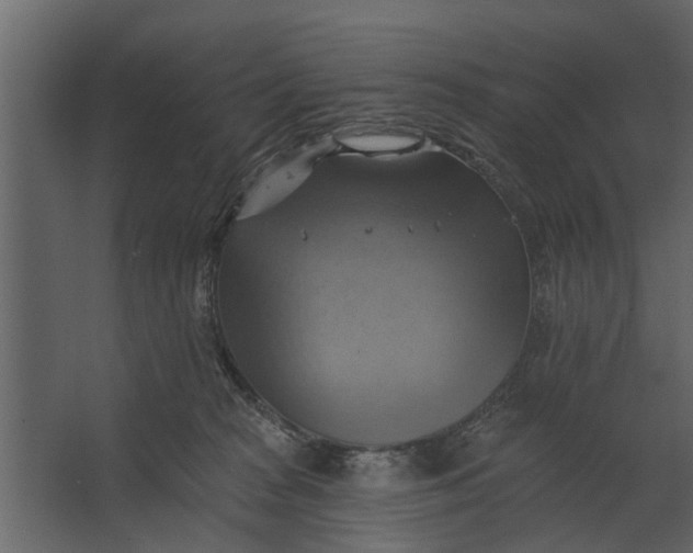 X0000067510277200604211759