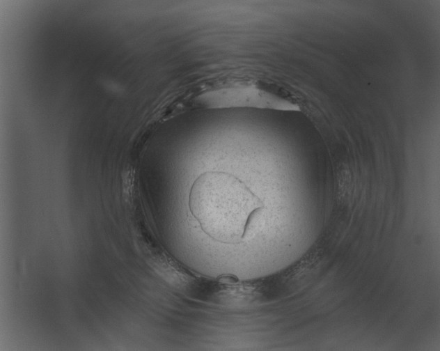 X0000067510278200604211759