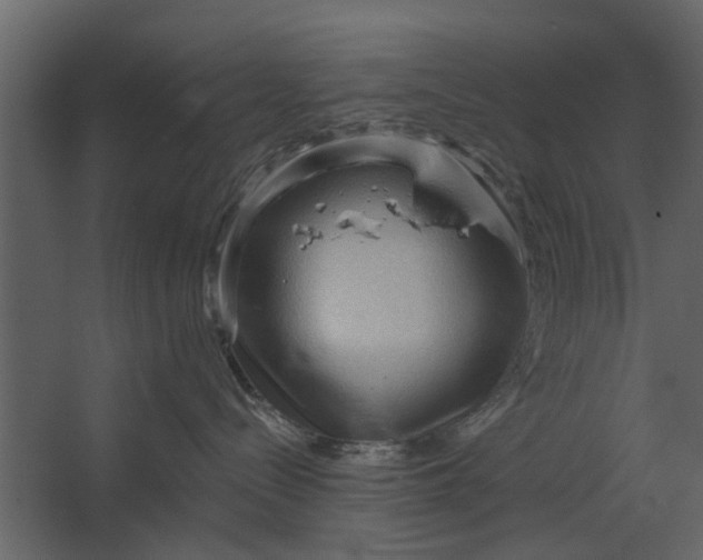 X0000067510288200604211759