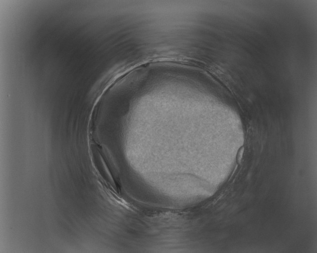 X0000067510290200604211758