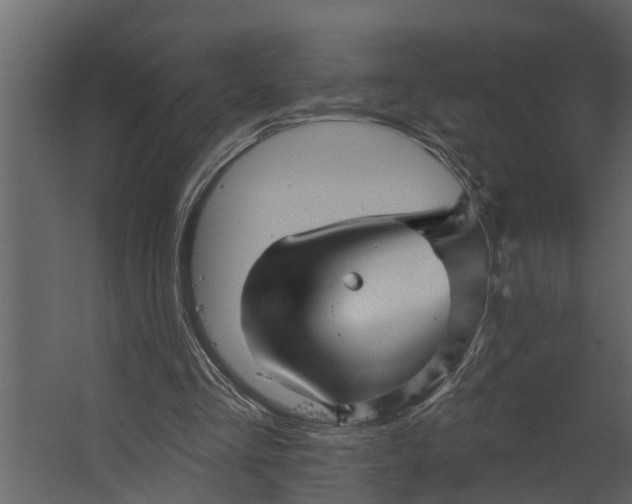 X0000067510293200604211758