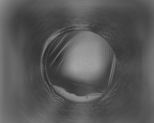 X0000067510294200604211758