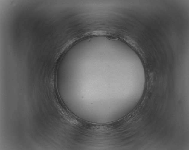 X0000067510297200604211758