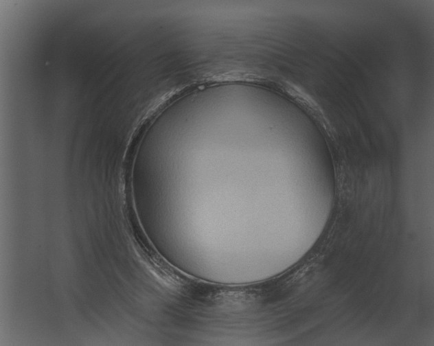 X0000067510298200604211758