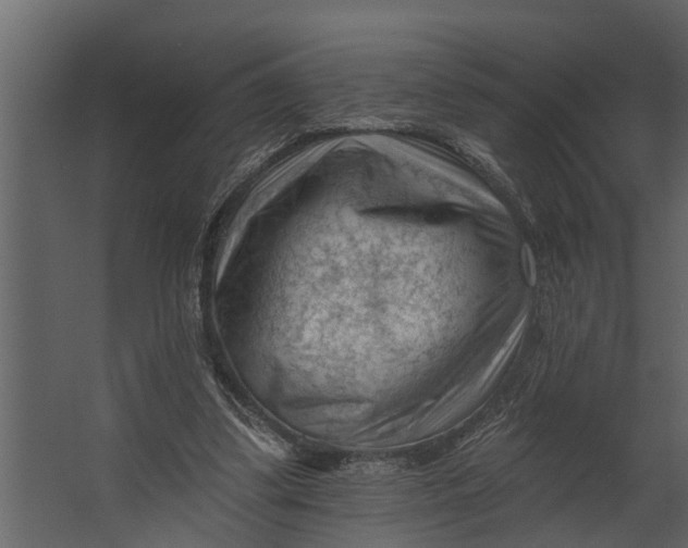 X0000067510299200604211758