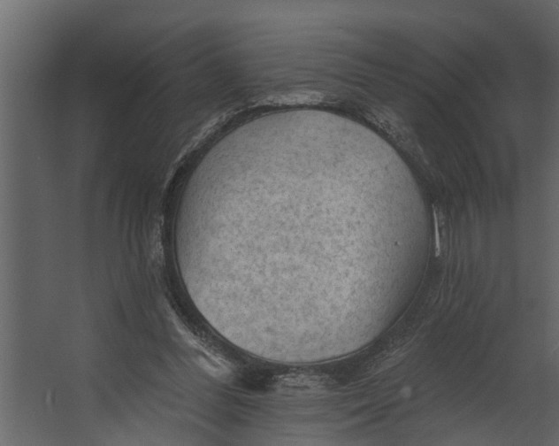 X0000067510300200604211758