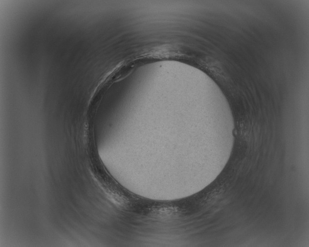 X0000067510304200604211758