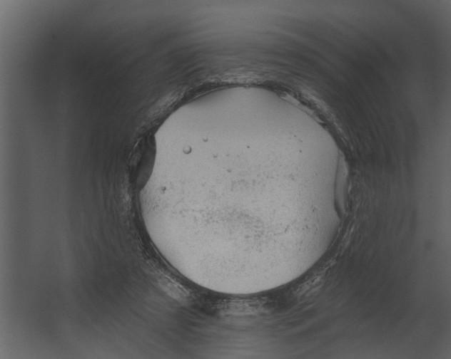 X0000067510305200604211758