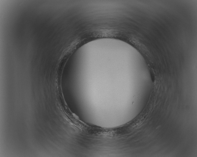 X0000067510306200604211758