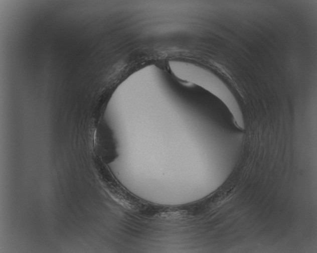 X0000067510307200604211758