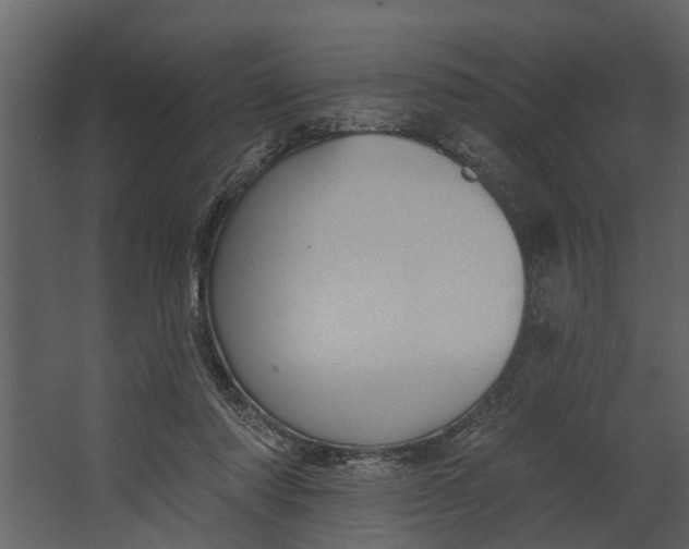 X0000067510310200604211758