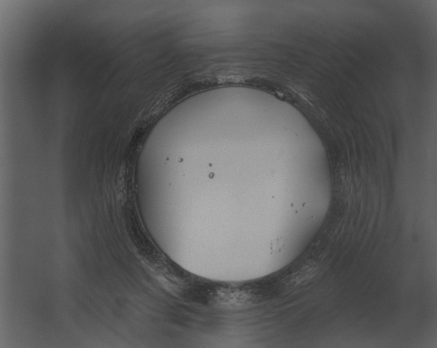 X0000067510311200604211758