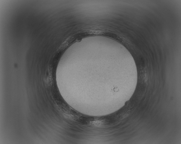 X0000067510312200604211758