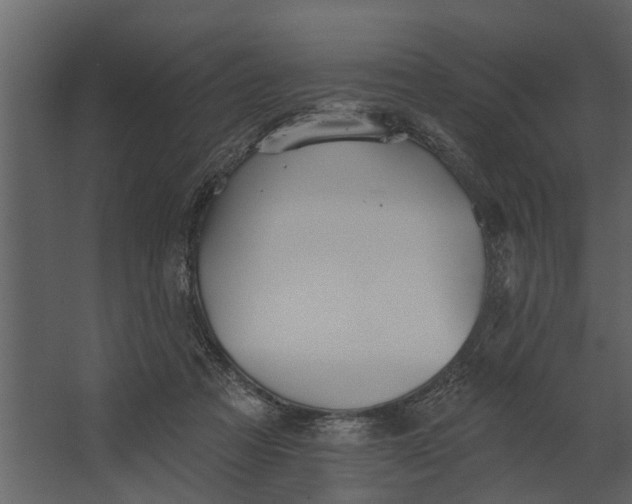 X0000067510313200604211758