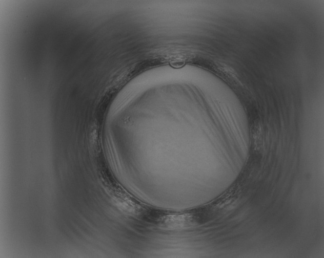 X0000067510314200604211758