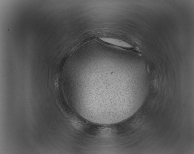 X0000067510315200604211758