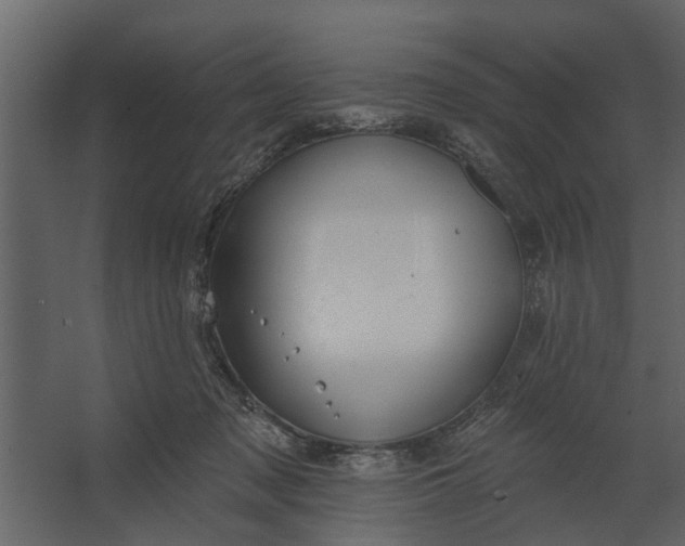 X0000067510317200604211757