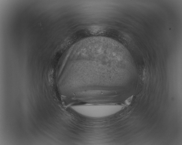 X0000067510319200604211757