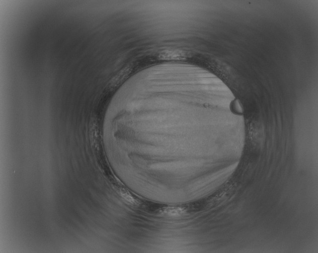 X0000067510322200604211757