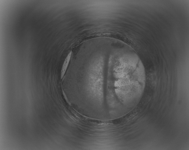 X0000067510323200604211757