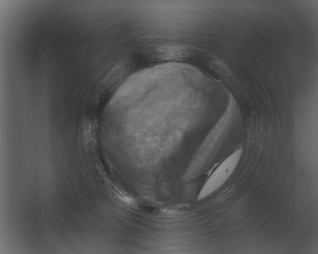 X0000067510325200604211757