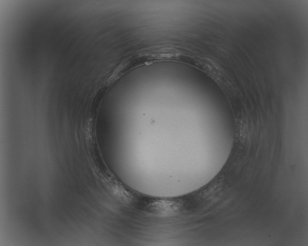 X0000067510326200604211757