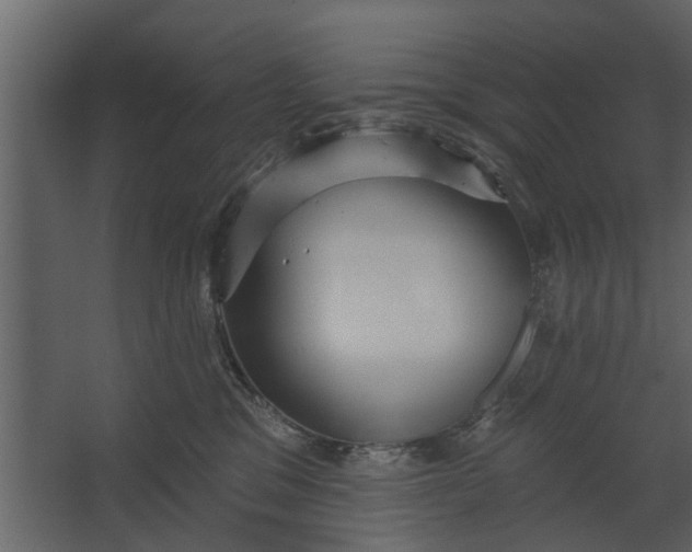 X0000067510329200604211757