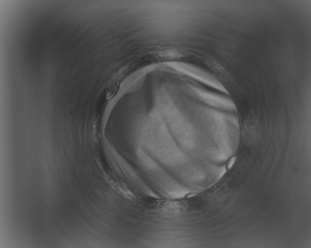 X0000067510330200604211757