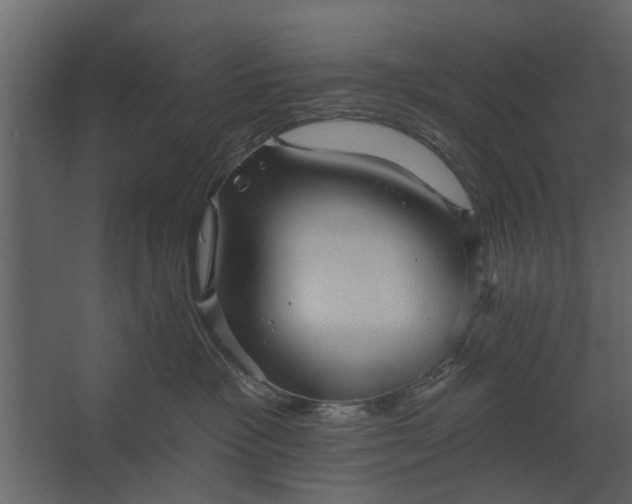 X0000067510333200604211757