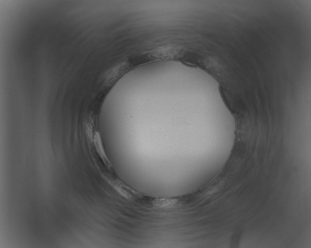 X0000067510334200604211757