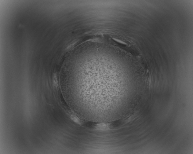 X0000067510335200604211757