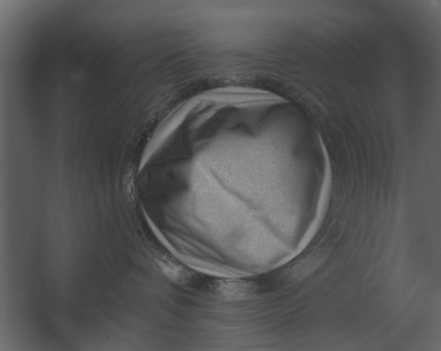 X0000067510336200604211757